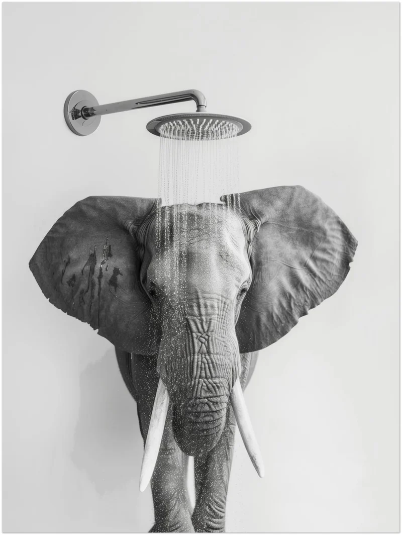 Elefant unter Dusche Leinwandbild