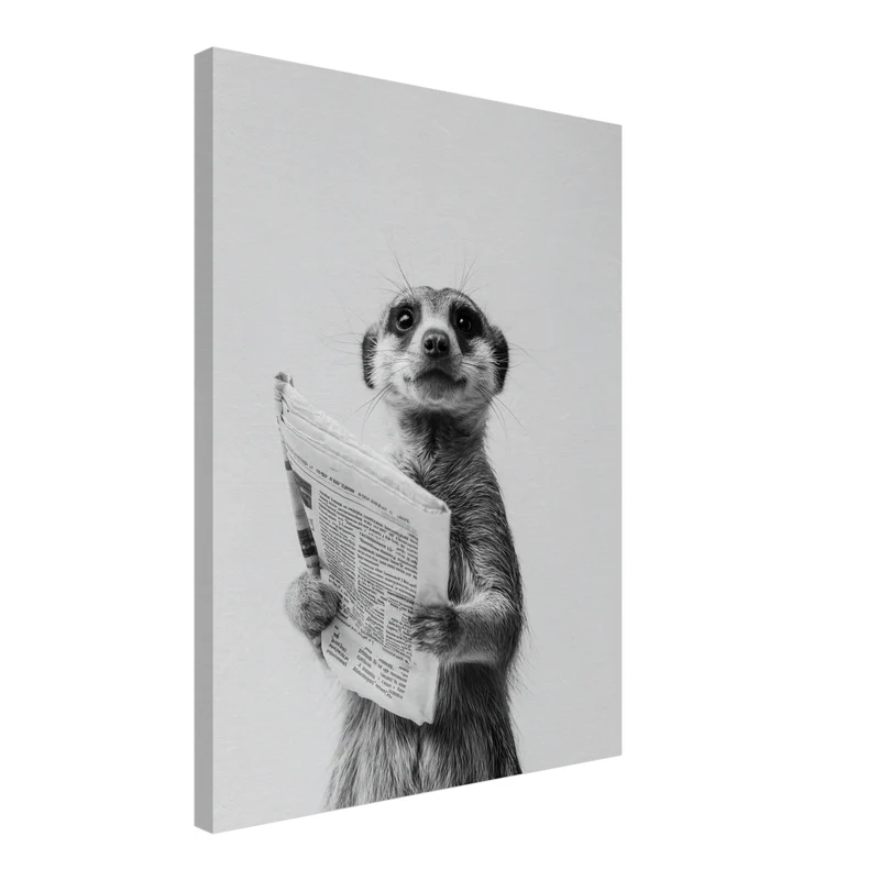 Erdmännchen mit Zeitung Leinwandbild