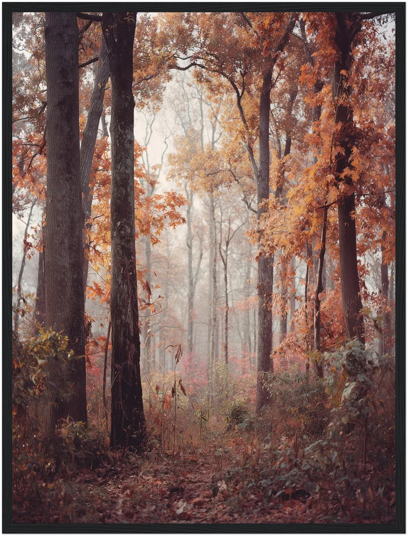 Herbstlicher Laubwald Poster