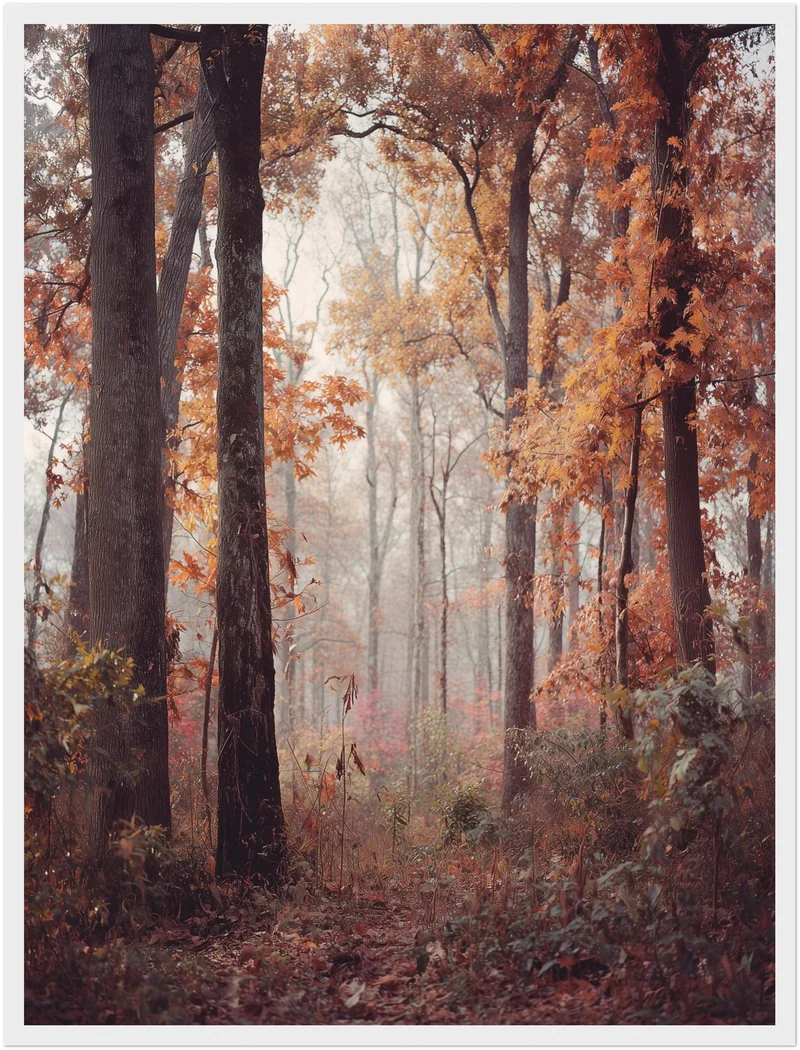 Herbstlicher Laubwald Poster
