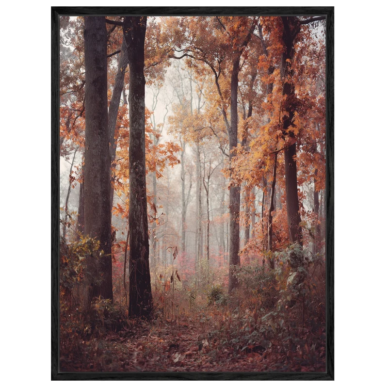 Herbstlicher Laubwald Leinwandbild