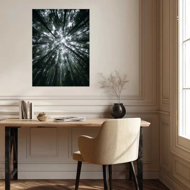 Zwischen Baumkronen Himmel Poster