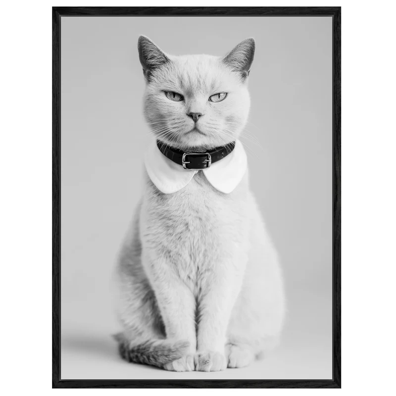 Katze mit Halsband Leinwandbild