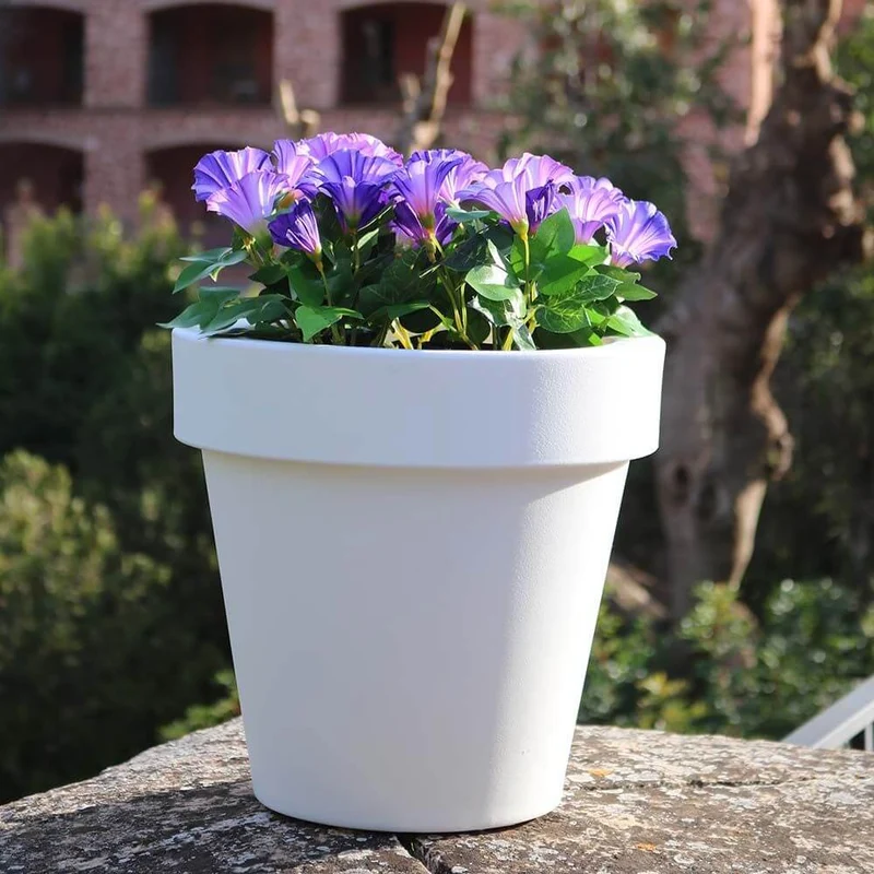 Magnolia Mini LED beleuchteter Blumentopf mit Akku